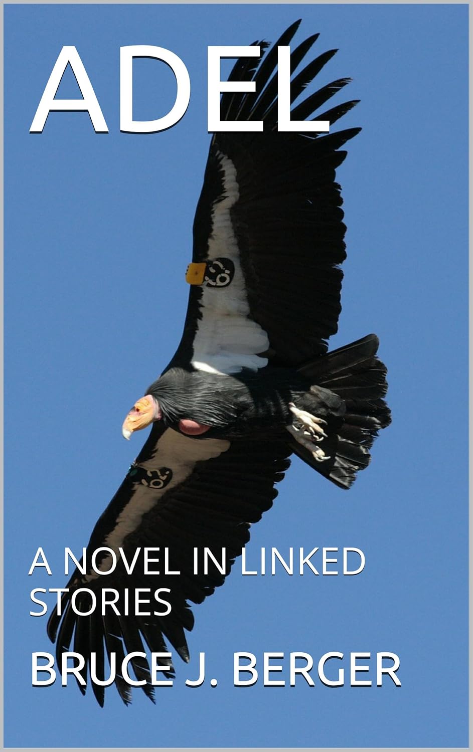 81uis52UrFL._SL1500_